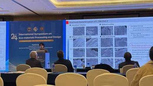 ISEPD2026での口頭発表の様子
