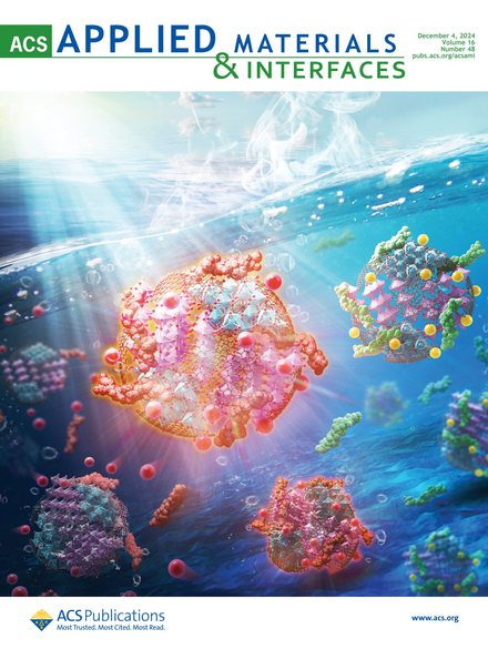 ACS Applied Materials & Interfaces 表紙